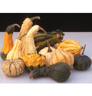 Harrowsmith Select Gourds