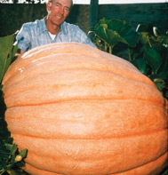 Dill's Atlantic Giant Pumpkin