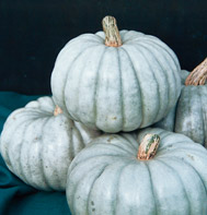 Jarrahdale Pumpkin