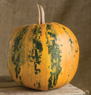 Kakai Pumpkin