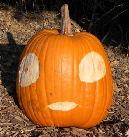 Pumpkin Carving Noses