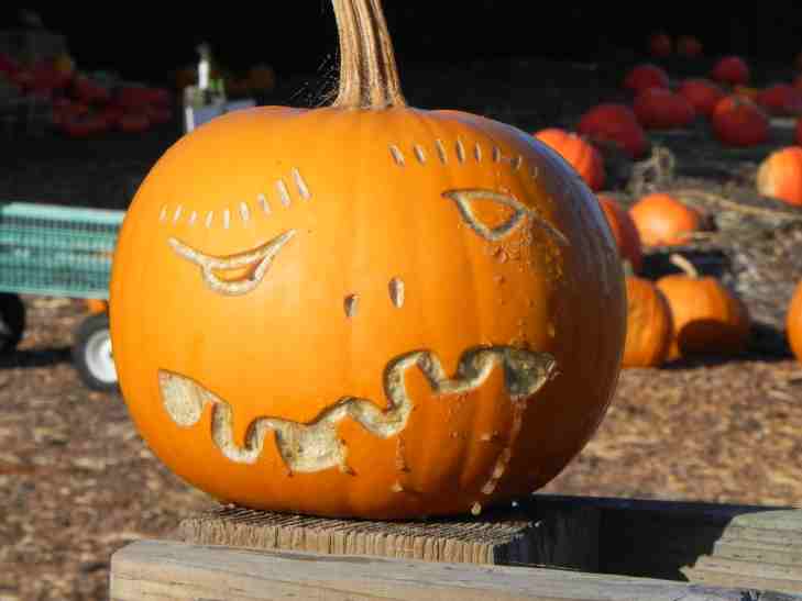 Carving Ideas for 2011 of Nipomo Pumpkin Patch