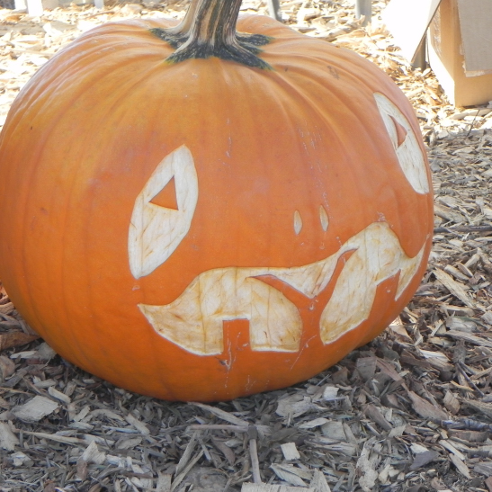 Carving Ideas 1 for 2019 Nipomo Pumpkin Patch